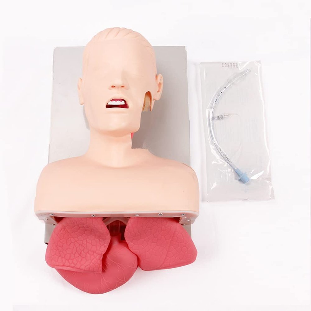 Adult Electronic Tracheal Intubation Training Model with Tooth Pressure Alarm