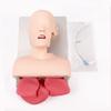 Adult Electronic Tracheal Intubation Training Model with Tooth Pressure Alarm view 1