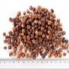Dried Rowan Berries (Fructus Sorbi), Whole, 900 g view 2