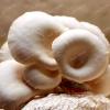 New Mushroom Vegetable Seeds, 400 Pieces view 1
