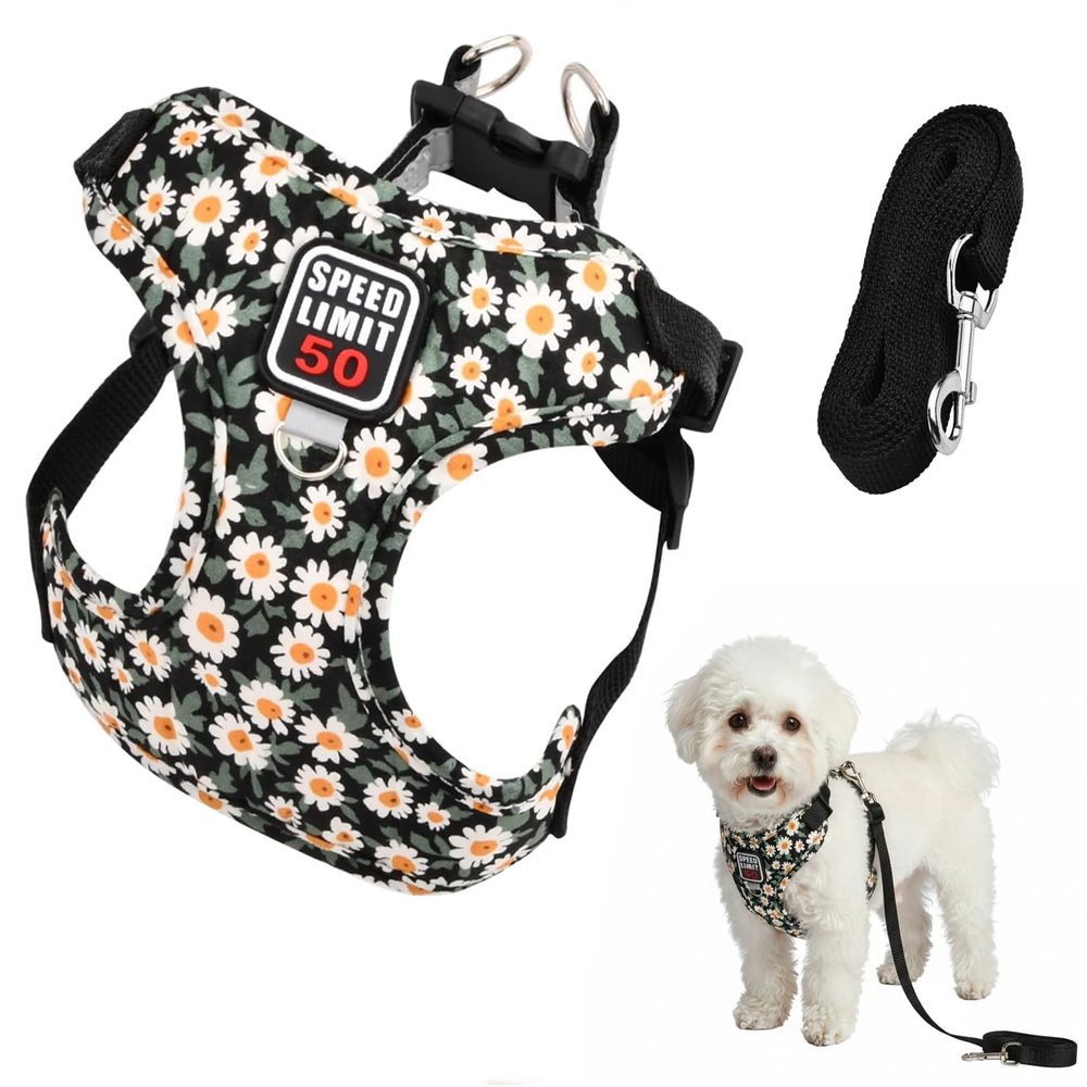 Adjustable Dog Harness with Leash - Black
