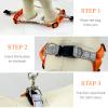 Adjustable Dog Harness with Leash - Black view 4