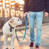 Dog Waste Bag Dispenser view 2