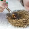 Ruilonghai Liquid Feeding Syringe for Birds with Feeding Tubes view 3