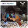WYSKONT River Gravel for Aquariums, 2 kg, Multicolor, 0.1–0.4 mm view 2