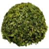 Dried Wild Garlic Leaves, 40 g–1.95 kg, Allium ursinum (85 g) view 4