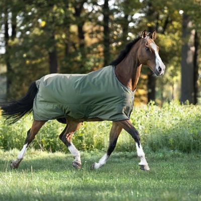 Kavalkade Montreal 0g Outdoor Horse Blanket