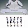 ZLCO Adjustable Hunchback Posture Corrector, Back and Shoulder Support Belt, Extra-Large Back Support, for Men (XL) – Present view 2