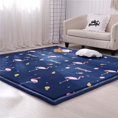 EVSER Large Coral Velvet Rug, Soft Thick Foam Baby Play Mat