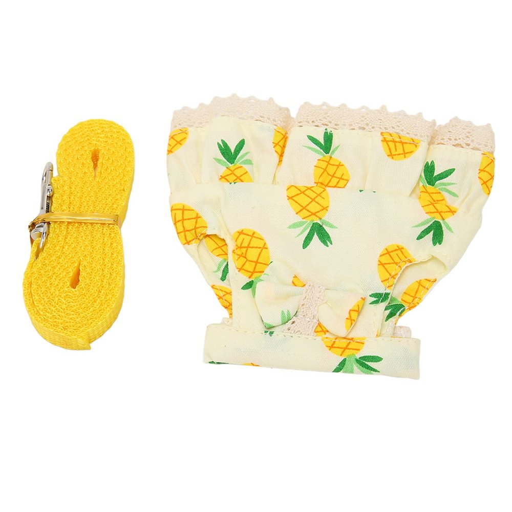 Pet Harness and Leash Set for Small Animals