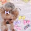 AAPIE Dog Hair Clips - 1 Piece view 3