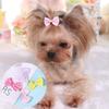AAPIE Dog Hair Clips - 1 Piece view 4
