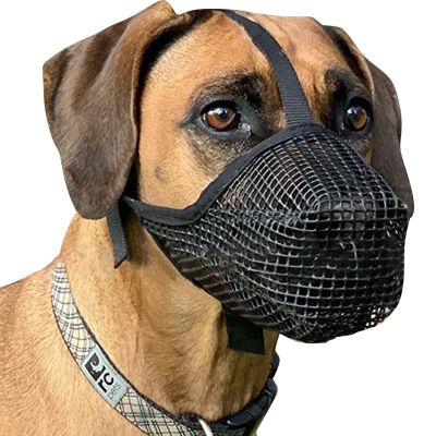 Amesor Adjustable Soft Muzzle for Medium Dogs