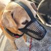 Amesor Adjustable Soft Muzzle for Medium Dogs view 4