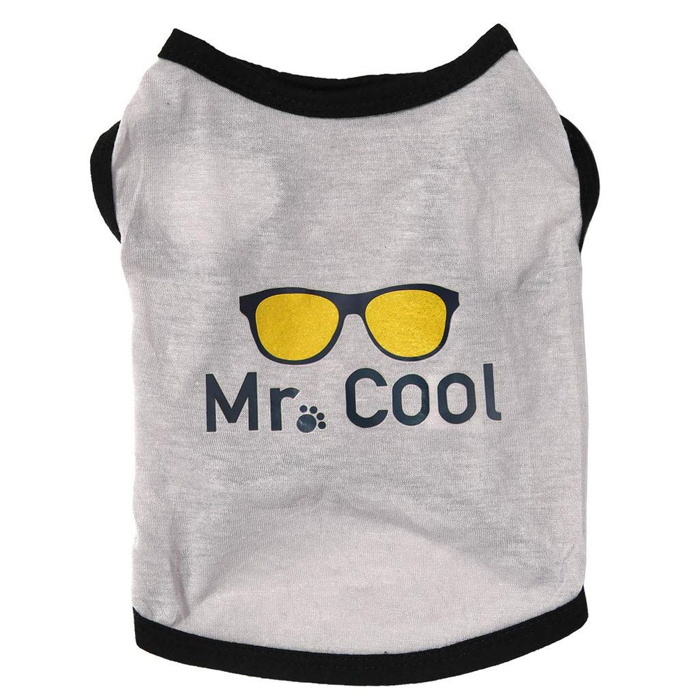 Caritierily Letter Coat for Pets