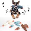 Caritierily Dog Toy Set 30cm Wild Goose Sound view 2