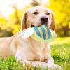 Caritierily Dog Toy for Small Dogs - Plush Squeaky Toy (Blue, One Size) view 3