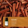 Cinnamon Bark Essential Oil 15 ml by AMYRON – 100% Natural and Pure, Ideal for Aromatherapy, Essential Oil Diffusers, Aromatic Massages, and Culinary Use view 3