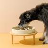 Koomuao Anti-Gulping Ceramic Cat & Dog Bowl with Stand, Light Green view 4