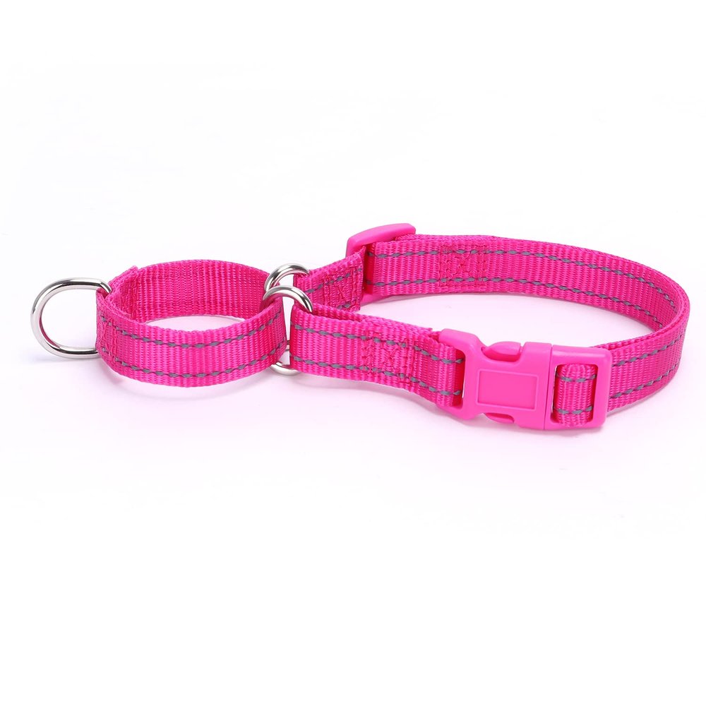 haoyueer Reflective Nylon Martingale Dog Collar