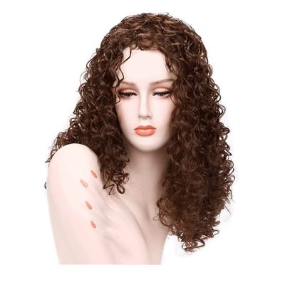 LIOONS Realistic Long Curly Wig for Black Women, 24 in/60 cm