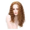 LIOONS Realistic Long Curly Wig for Black Women, 24 in/60 cm view 3