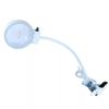 ZLCO Magnifying Desk Lamp with Light, Direct USB Charging (Color: A, Size: 61.5 × 13 cm) view 1