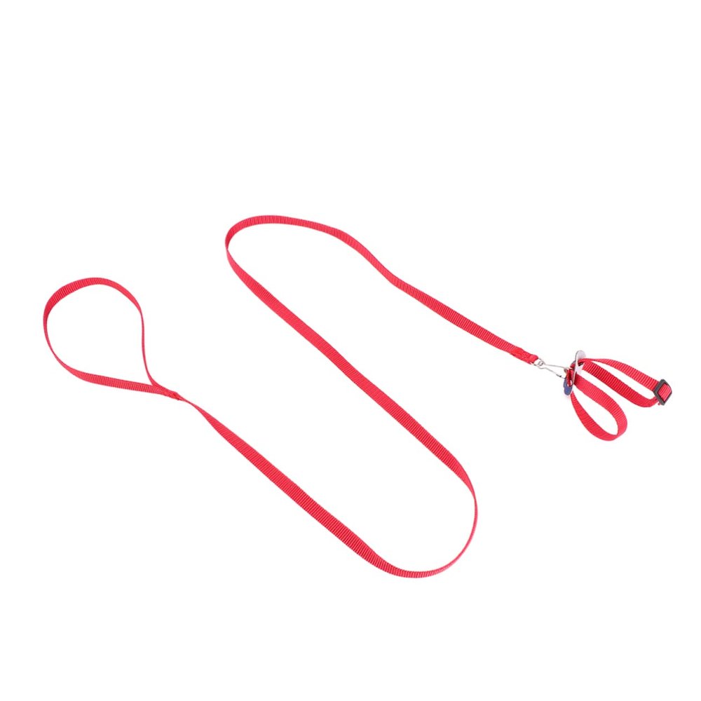 iplusmile Pet Leash for Small Animals