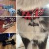 316 Surgical Stainless Steel Pet ID Tag view 3