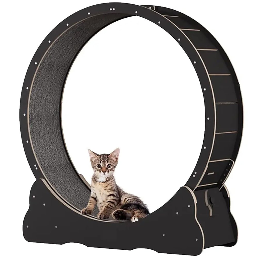 Cat Exercise Wheel