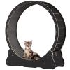 Cat Exercise Wheel view 1