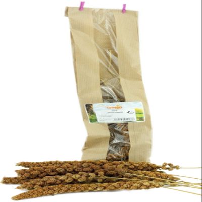 Getzoo Red Millet Ears 5 PCS