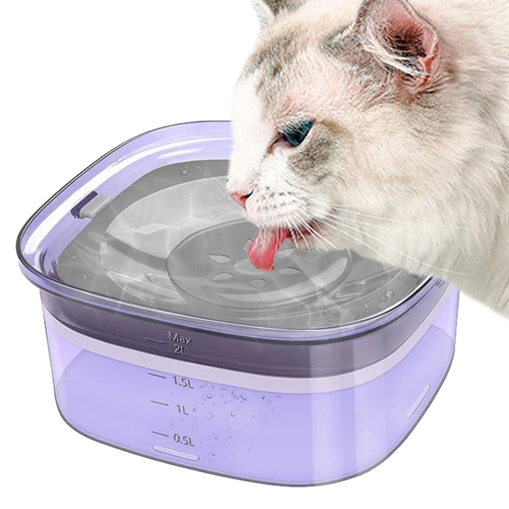 2L Slow-Feed, Spill-Resistant Dog Water Bowl