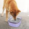 2L Slow-Feed, Spill-Resistant Dog Water Bowl view 3