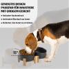 SPUNKYJUNKY 15° Tilted Ceramic Dog Bowls with Wood Stand, 850 ml, 2-Pack, Black view 2