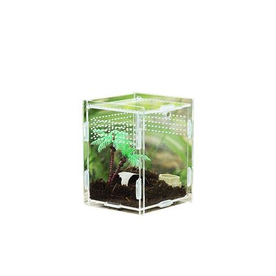 Transparent Portable Acrylic Reptile Breeding Box for Spiders, Scorpions, Horned Frogs and Beetles