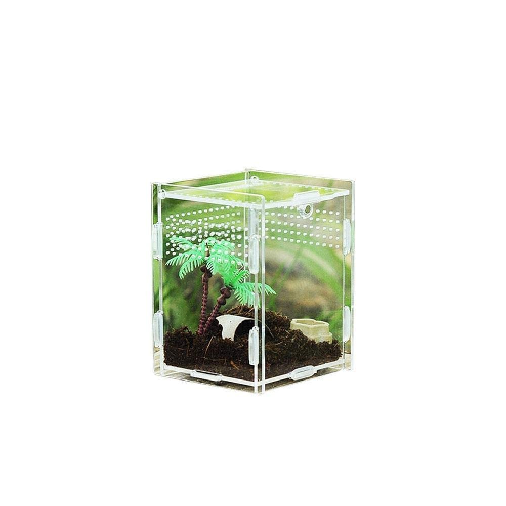 Transparent Portable Acrylic Reptile Breeding Box for Spiders, Scorpions, Horned Frogs and Beetles