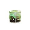 Transparent Portable Acrylic Reptile Breeding Box for Spiders, Scorpions, Horned Frogs and Beetles view 1