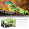 Transparent Portable Acrylic Reptile Breeding Box for Spiders, Scorpions, Horned Frogs and Beetles view 2