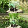 Transparent Portable Acrylic Reptile Breeding Box for Spiders, Scorpions, Horned Frogs and Beetles view 3