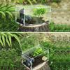 Transparent Portable Acrylic Reptile Breeding Box for Spiders, Scorpions, Horned Frogs and Beetles view 4