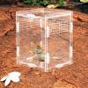 Transparent Acrylic Reptile Box for Geckos view 2