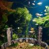 Aquarium Bridge Decoration view 2
