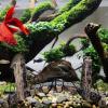Aquarium Bridge Decoration view 3
