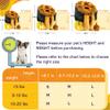 MORIK Lion's Den Pet Backpack for Small Dogs and Cats Under 9 kg, Size M view 4