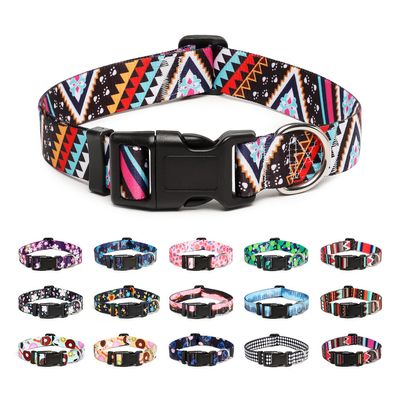 Mercano Adjustable Dog Collar