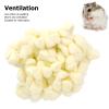 Hamster Cotton Ball view 4