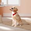 Gaimety Dog Toy - Squeaky Wine Bottle view 3