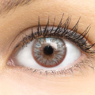 Catania Brown Colored Contact Lenses, 0.0 Diopters, 2-Pack