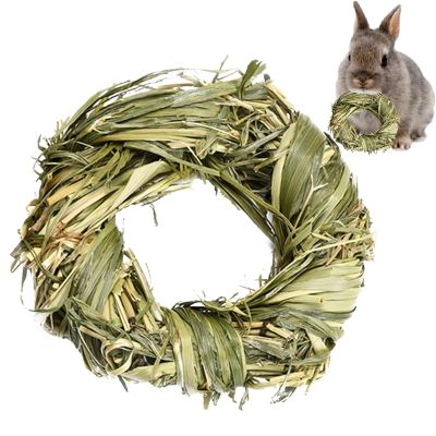Facynde Chew Toys for Guinea Pigs and Small Pets